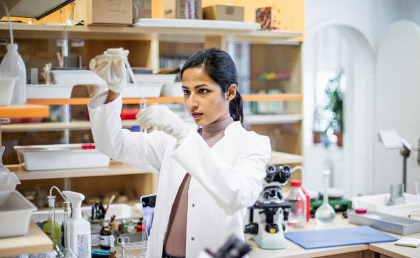 Bachelor’s Programs in Pharmacy